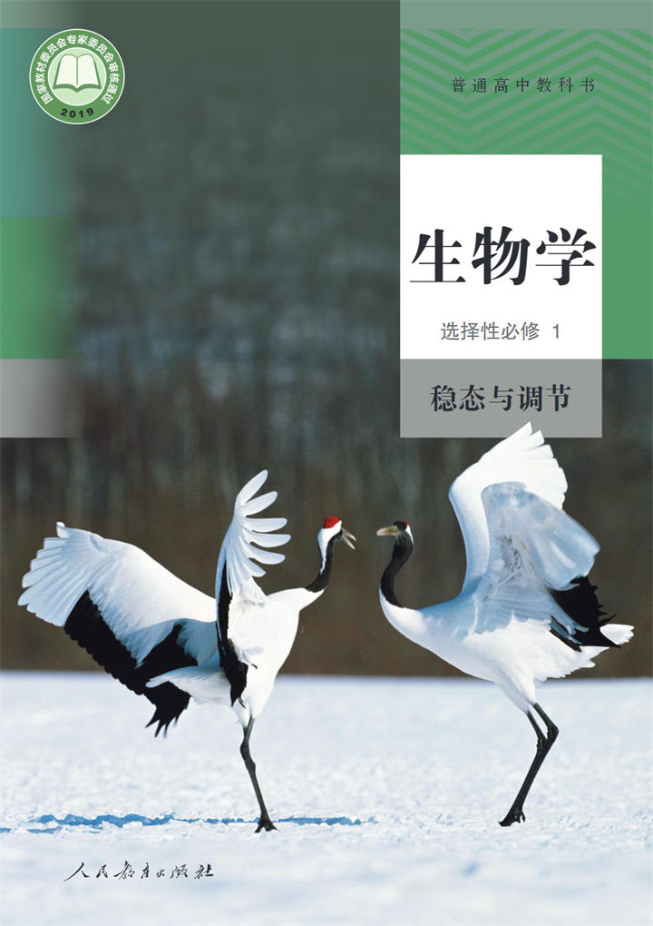 高中生物学人教版选择性必修1稳态与调节